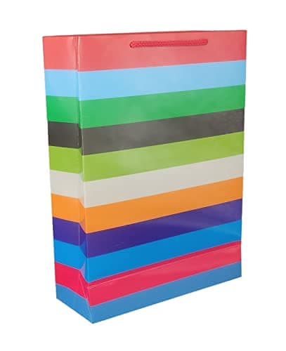Multicolor Horizontal Lining Bag With Glossy Finish