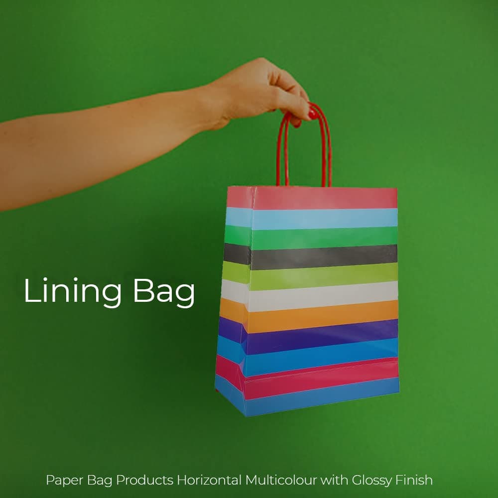 Multicolor Horizontal Lining Bag With Glossy Finish