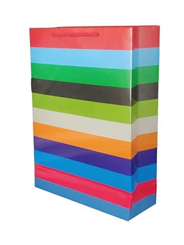 Multicolor Horizontal Lining Bag With Glossy Finish